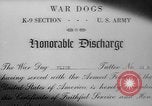 Standbild Armee Hunde United States USA, 1945, aus Sekunde 19 historischem Filmmaterial Videoclip 65675045614