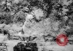 Standbild Armee Hunde United States USA, 1945, aus Sekunde 33 historischem Filmmaterial Videoclip 65675045614