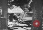 Standbild Armee Hunde United States USA, 1945, aus Sekunde 37 historischem Filmmaterial Videoclip 65675045614
