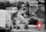 Standbild Armee Hunde United States USA, 1945, aus Sekunde 43 historischem Filmmaterial Videoclip 65675045614