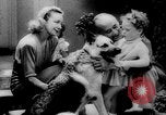 Standbild Armee Hunde United States USA, 1945, aus Sekunde 51 historischem Filmmaterial Videoclip 65675045614