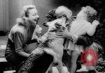 Standbild Armee Hunde United States USA, 1945, aus Sekunde 54 historischem Filmmaterial Videoclip 65675045614