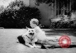 Standbild Armee Hunde United States USA, 1945, aus Sekunde 56 historischem Filmmaterial Videoclip 65675045614