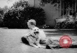 Standbild Armee Hunde United States USA, 1945, aus Sekunde 57 historischem Filmmaterial Videoclip 65675045614