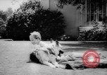 Standbild Armee Hunde United States USA, 1945, aus Sekunde 58 historischem Filmmaterial Videoclip 65675045614