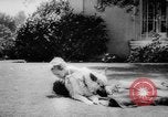 Standbild Armee Hunde United States USA, 1945, aus Sekunde 59 historischem Filmmaterial Videoclip 65675045614