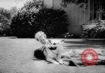 Standbild Armee Hunde United States USA, 1945, aus Sekunde 61 historischem Filmmaterial Videoclip 65675045614