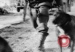 Image des Forces alliées Winter Offensive en Allemagne en Seconde Guerre Mondiale Allemagne, 1945, de la seconde 35 séquences d'archives historiques vidéo 65675045615