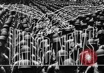Standbild Jagdflugzeug United States USA, 1945, aus Sekunde 14 historischem Filmmaterial Videoclip 65675045616