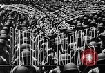 Standbild Jagdflugzeug United States USA, 1945, aus Sekunde 15 historischem Filmmaterial Videoclip 65675045616