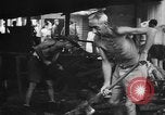 Image of General MacArthur in Philippines Manila Philippines, 1945, second 55 stock footage video 65675045617