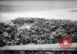 Standbild fire Bombe United States USA, 1944, aus Sekunde 51 historischem Filmmaterial Videoclip 65675045622