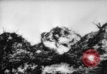 Standbild fire Bombe United States USA, 1944, aus Sekunde 62 historischem Filmmaterial Videoclip 65675045622