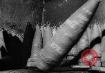 Image of Red Ball highway France, 1944, second 25 stock footage video 65675045626