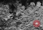 Image of United States troops France, 1944, second 12 stock footage video 65675045629
