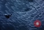 Image of C-130 United States USA, 1959, second 19 stock footage video 65675045634