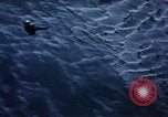 Image of C-130 United States USA, 1959, second 21 stock footage video 65675045634