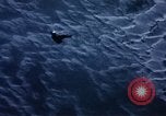 Image of C-130 United States USA, 1959, second 22 stock footage video 65675045634