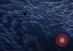 Image of C-130 United States USA, 1959, second 26 stock footage video 65675045634