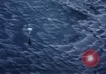 Image of C-130 United States USA, 1959, second 38 stock footage video 65675045634