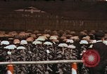 Image of Chrysanthemum show Tokyo Japan, 1937, second 14 stock footage video 65675045639