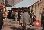 Image of Chrysanthemum show Tokyo Japan, 1937, second 17 stock footage video 65675045639