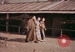 Image of Chrysanthemum show Tokyo Japan, 1937, second 21 stock footage video 65675045639