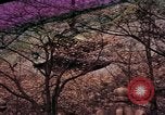 Image of Japanese civilians Tokyo Japan, 1937, second 9 stock footage video 65675045641