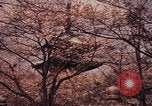 Image of Japanese civilians Tokyo Japan, 1937, second 15 stock footage video 65675045641