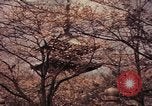 Image of Japanese civilians Tokyo Japan, 1937, second 17 stock footage video 65675045641