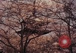 Image of Japanese civilians Tokyo Japan, 1937, second 19 stock footage video 65675045641