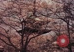 Image of Japanese civilians Tokyo Japan, 1937, second 20 stock footage video 65675045641