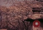 Image of Japanese civilians Tokyo Japan, 1937, second 22 stock footage video 65675045641