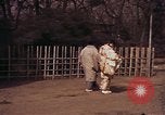 Image of Japanese civilians Tokyo Japan, 1937, second 50 stock footage video 65675045641