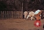Image of Japanese civilians Tokyo Japan, 1937, second 55 stock footage video 65675045641