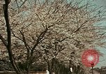 Image of British Embassy Tokyo Japan, 1937, second 16 stock footage video 65675045643