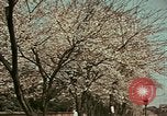 Image of British Embassy Tokyo Japan, 1937, second 17 stock footage video 65675045643