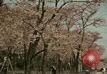 Image of British Embassy Tokyo Japan, 1937, second 25 stock footage video 65675045643