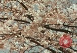 Image of British Embassy Tokyo Japan, 1937, second 32 stock footage video 65675045643