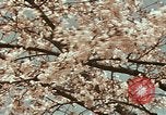 Image of British Embassy Tokyo Japan, 1937, second 33 stock footage video 65675045643