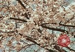 Image of British Embassy Tokyo Japan, 1937, second 34 stock footage video 65675045643