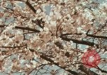 Image of British Embassy Tokyo Japan, 1937, second 35 stock footage video 65675045643