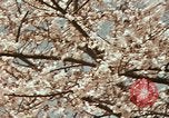 Image of British Embassy Tokyo Japan, 1937, second 36 stock footage video 65675045643