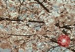 Image of British Embassy Tokyo Japan, 1937, second 37 stock footage video 65675045643