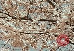 Image of British Embassy Tokyo Japan, 1937, second 38 stock footage video 65675045643