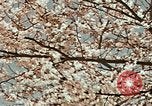 Image of British Embassy Tokyo Japan, 1937, second 41 stock footage video 65675045643