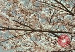 Image of British Embassy Tokyo Japan, 1937, second 42 stock footage video 65675045643