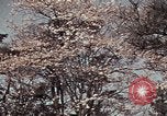 Image of British Embassy Tokyo Japan, 1937, second 56 stock footage video 65675045643