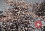 Image of British Embassy Tokyo Japan, 1937, second 57 stock footage video 65675045643