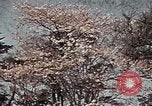 Image of British Embassy Tokyo Japan, 1937, second 58 stock footage video 65675045643